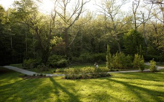 Picture of Yoga in the Sunken Garden Series