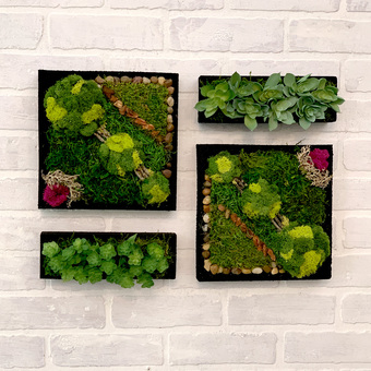 Picture of Moss Wall Art with FloraCraft® - Free Online